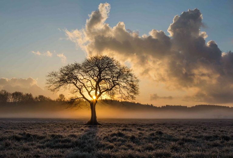 Hoop voor Herstel